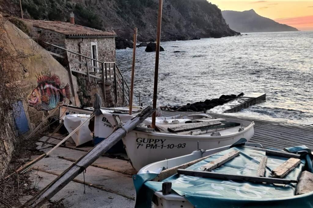 Casa Mistral, Un Paraiso De Mar Y Montana Valldemossa  Luaran gambar